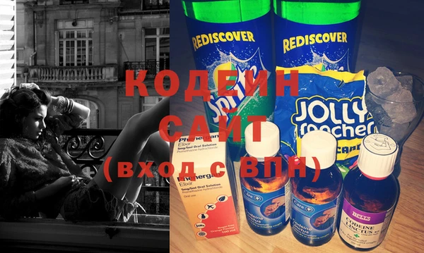 индика Балахна