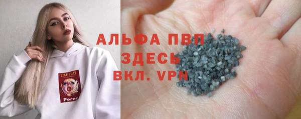 индика Балахна