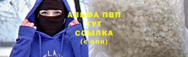 ешки Аркадак