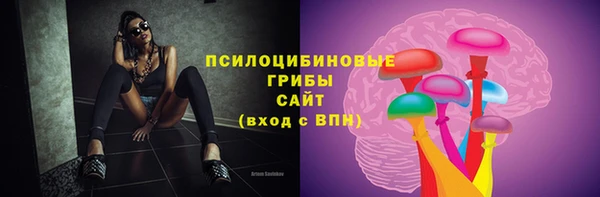 индика Балахна