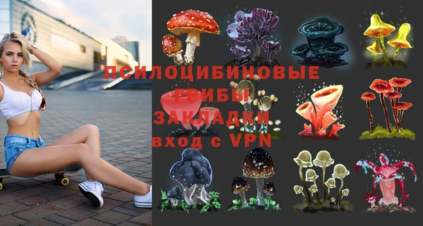 ALPHA-PVP Армянск