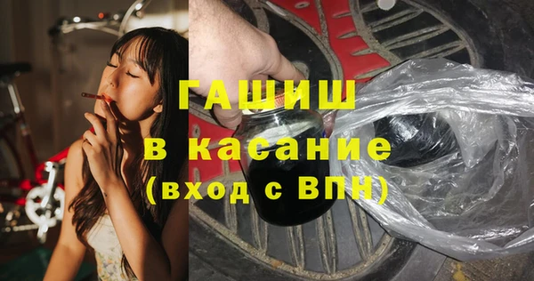 стаф Арсеньев