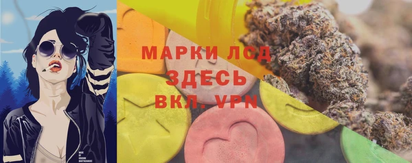 индика Балахна