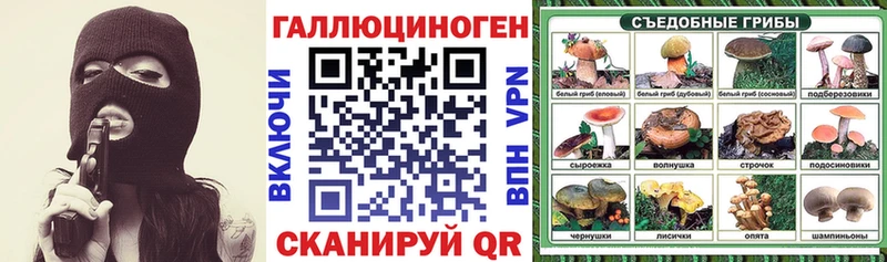Псилоцибиновые грибы Cubensis  Александровское 